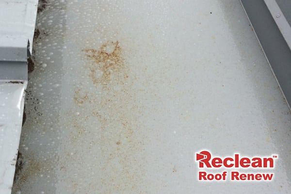 Roof-Rust-Stains-Before-and-After-Cleaning3